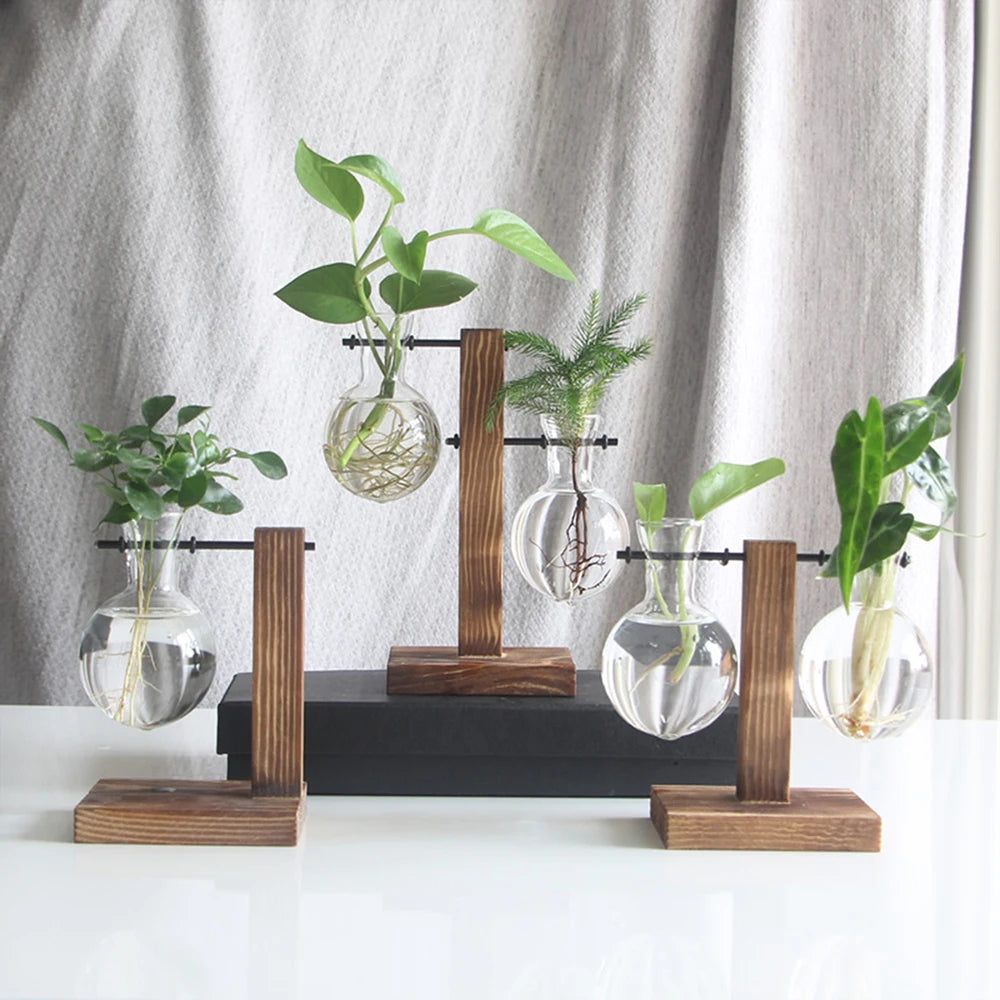 Creative Glass Bulb Vase with Wooden Stand for Hydroponic Plants