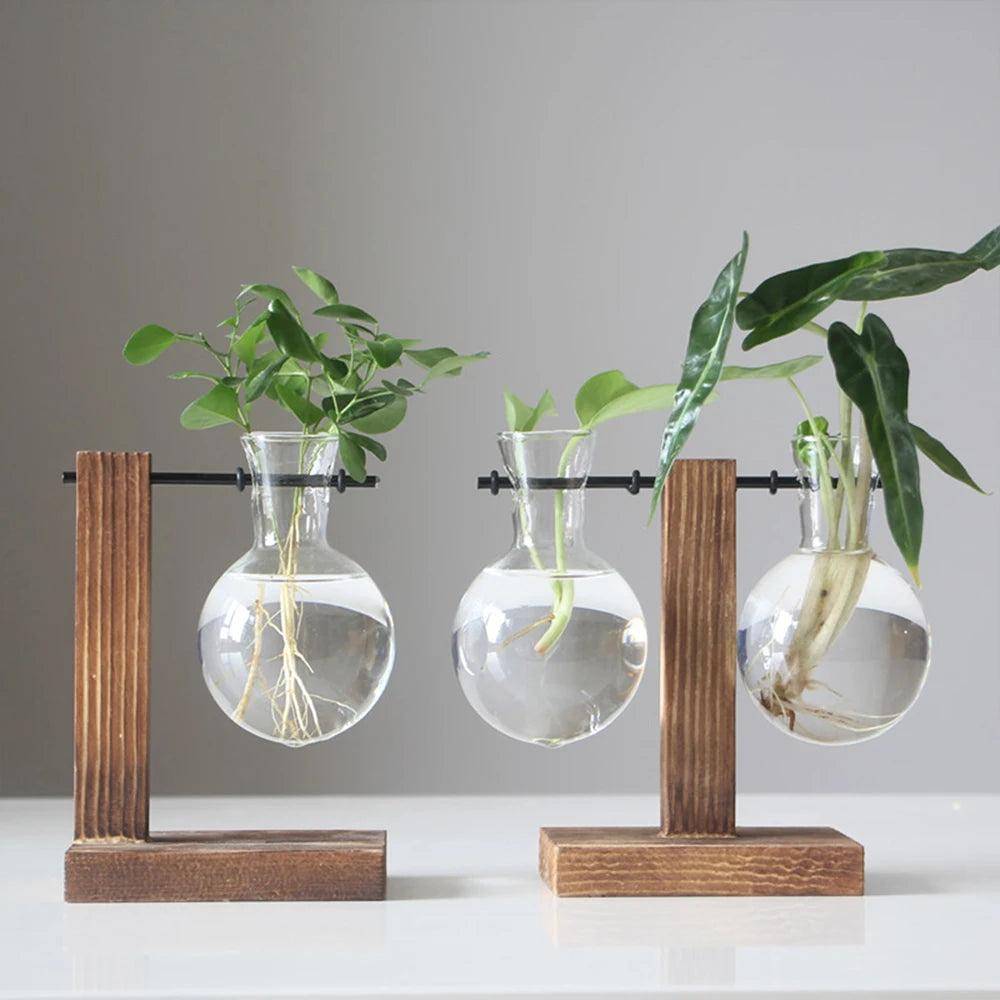 Creative Glass Bulb Vase with Wooden Stand for Hydroponic Plants