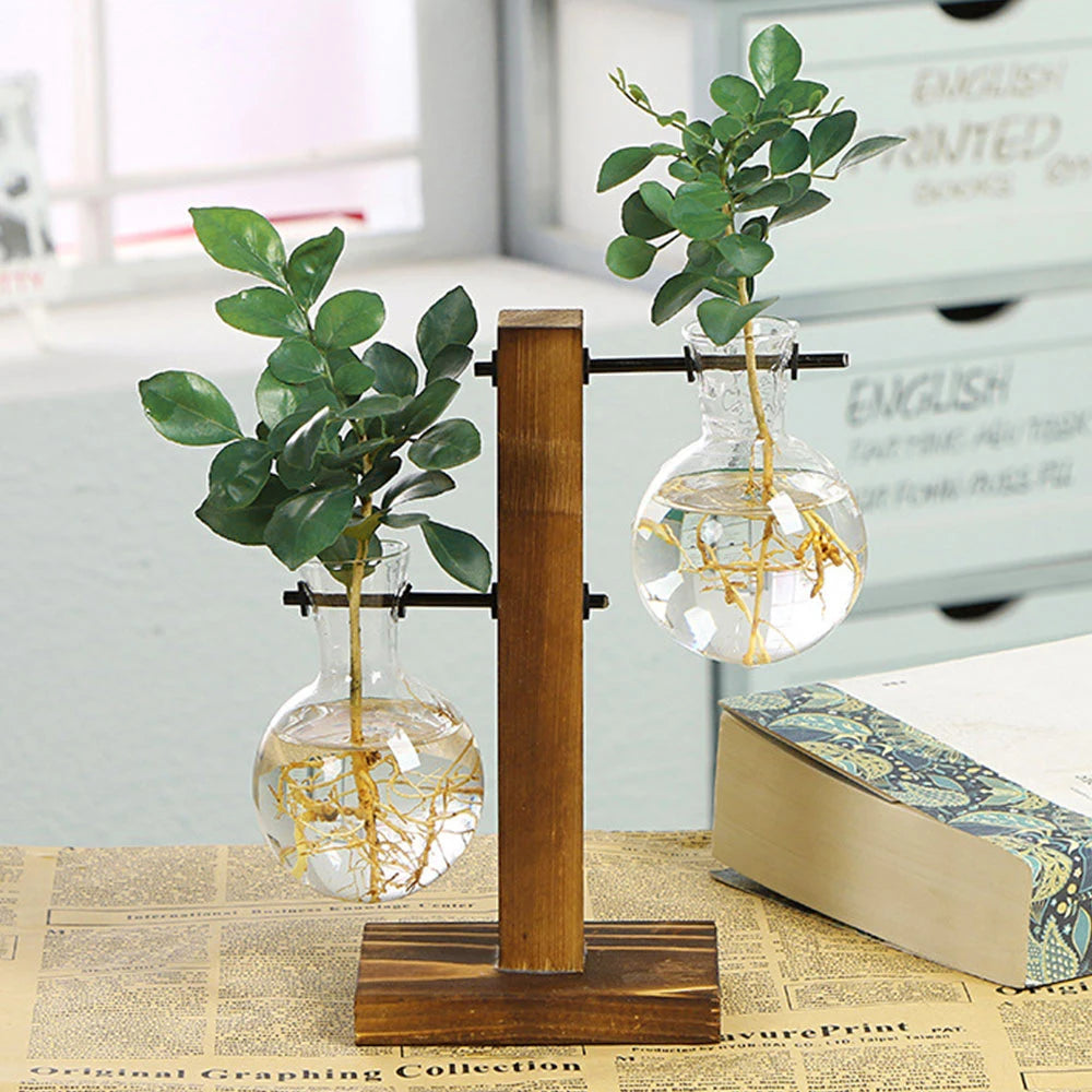 Creative Glass Bulb Vase with Wooden Stand for Hydroponic Plants