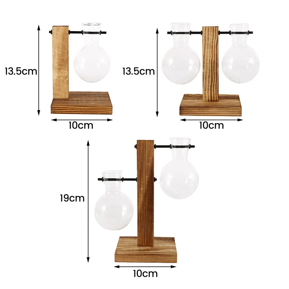 Creative Glass Bulb Vase with Wooden Stand for Hydroponic Plants