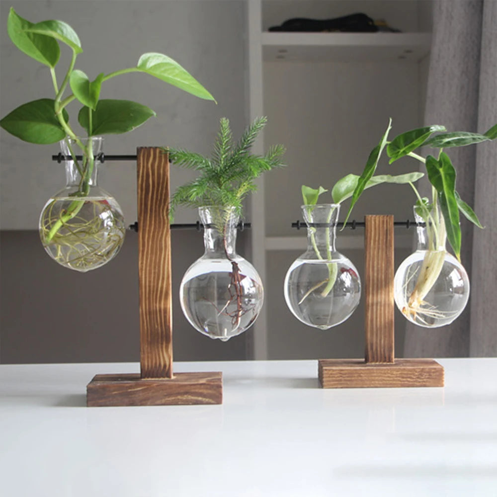 Creative Glass Bulb Vase with Wooden Stand for Hydroponic Plants